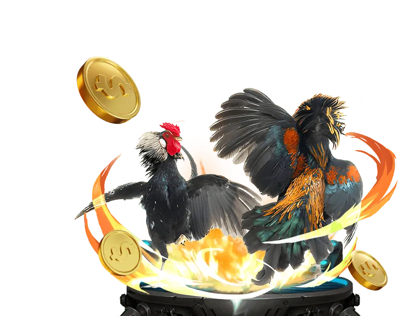 Tỷ lệ cược cao và giao dịch nhanh chóng